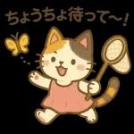 三毛猫の幸せな夏の生活