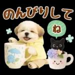 大人可愛いシーズーで梅雨の気づかい敬語