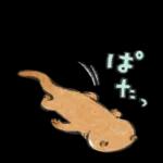 可愛い嘘のカワウソ