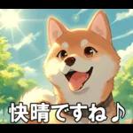 夏の天気をお知らせする柴犬【便利・日常】