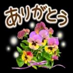 ほんわかさん【お花の仲良し言葉】No.3５