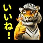 大阪神戸の野球好き虎ファン向け2