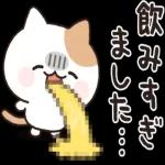 お酒好きなねこさん 4軒目！敬語