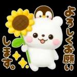 しろくまとペンギン♡夏に涼しいセット