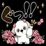 毎日使えるゆるかわスタンプ☆