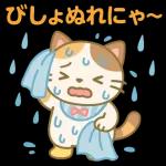 雨の多い夏に暮らす三毛猫の物語