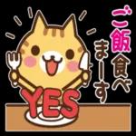 ねこの缶詰め【家族連絡】_-_