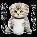 やる気ゼロ♡にゃんこ