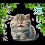 ねこちぃずNEO★やさしい秋スタンプ