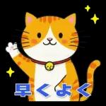 オレンジ色の猫がハートを送った