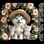 夏 猛暑 酷暑♡シベリアンハスキーとネコ