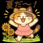 三毛猫の幸せな夏の生活