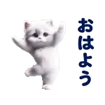 踊る！ペルシャ猫