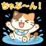 雨の多い夏に暮らす三毛猫の物語