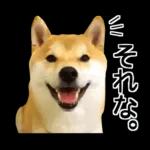 Premium 柴犬こてつ君*スタンプ第二弾
