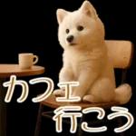 白いモフモフ～その名はサモエド！２