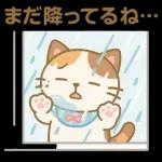 雨の多い夏に暮らす三毛猫の物語