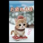 可愛い猫 冬 スキー スノボー 思いやりBIG