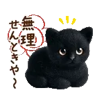 関西弁♡動く猫ぬいの家族連絡(黒猫)