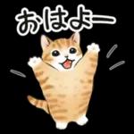 毎日☆猫たちのスタンプ