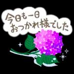 猫さん。梅雨・初夏のやさしいメッセージ