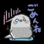 可愛いインコちゃんと一緒に冬を過ごしましょう！