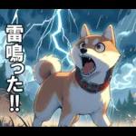夏の天気をお知らせする柴犬【便利・日常】