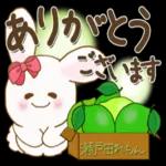 ぽっちゃりウサギ_5『晩夏～初秋』