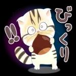 かわいい猫😺が来ますよ！
