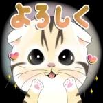 かわいい猫😺が来ますよ！