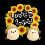 ぽってりシマエナガ団♡夏スタンプ