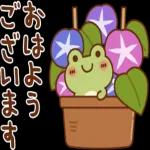 54 /11 よう おは