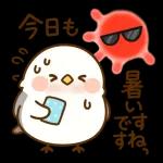 夏気分いっぱいひよこ