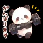 แพนด้าด้วยความเคารพ