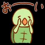 喜びセット🎁