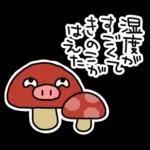 ぶたたの夏（1）🐷