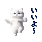 踊る！ペルシャ猫