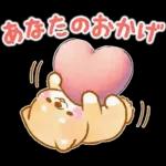 愛する人に感謝を送る❤️いやしばいぬ赤柴