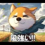 夏の天気をお知らせする柴犬【便利・日常】