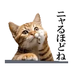 🎊新スタンプ、使ってみてね！