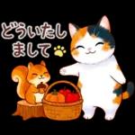 三毛猫のつめあわせ【秋】