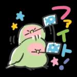 可愛いインコちゃんと一緒に冬を過ごしましょう！