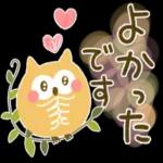  今日の癒しと元気をお届けますよ〜