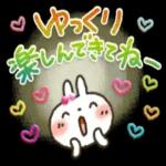 夏～秋「白うさぎさん」日常パック