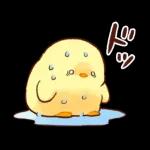 無料スタンプです！！！🆓