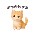 朝イチで開けてや💥　