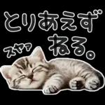 やる気ゼロ♡にゃんこ