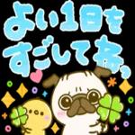 大人可愛い♡見やすいデカ文字♡パグちゃん