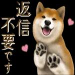 さすが！柴犬（よく使う言葉編２）