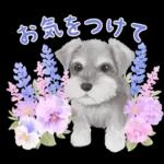 大人かわいい♡いぬと花のスタンプ